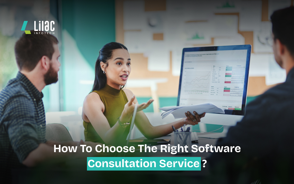 software consultation service